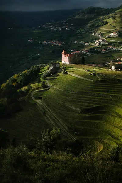 Prachtig Uitzicht Wijngaarden Douro Heuvels Griekenland Stockafbeelding