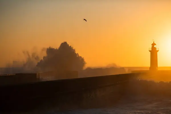 Havsbrygga Och Fyr Solnedgången Porto Portugal Stockbild