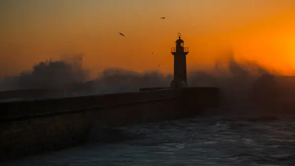 Farol Das Felgueiras Durante Incrível Pôr Sol Porto Portugal Fotos De Bancos De Imagens