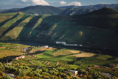 Portekiz, Pinhao 'dan geçen Douro Nehri' nin çarpıcı hava manzarası.