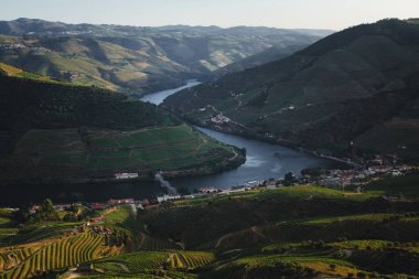 Kuzey Portekiz 'deki Douro Nehri' nin panoraması ve üzüm bağları..