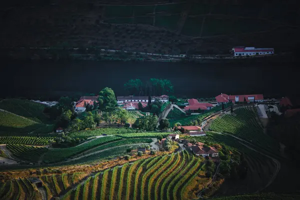 Portekiz, Pinhao yakınlarındaki Douro Vadisi 'nde bir nehir manzarası..