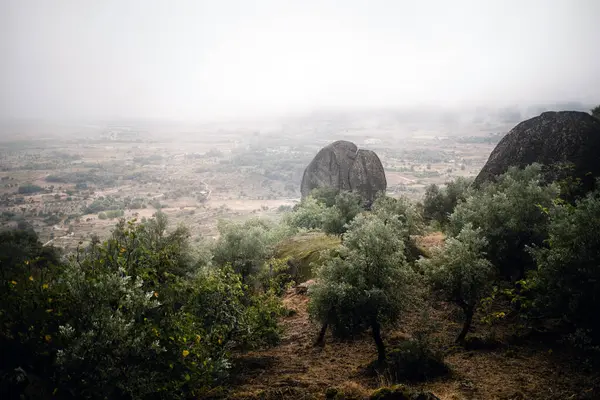 stock image Boulders scattered across meadows in a valley as fog descends in Monsanto, Portugal, creating a peaceful and mystical atmosphere.