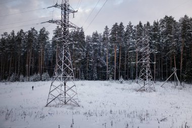 Karla kaplı bir ormanın içinden geçen yüksek voltajlı elektrik hatları, etrafındaki kış manzarasıyla tam bir tezat oluşturuyor..