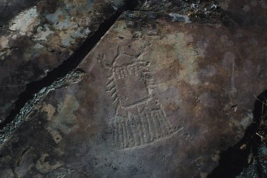 Altai Cumhuriyeti 'nde kayalıklardaki petroglifler antik sanat eserlerini sergiliyor.. 