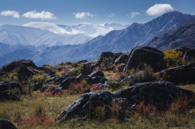 Arkasında Kuzey Chuya Dağları 'nın karla kaplı zirveleri olan Altai Cumhuriyeti' ndeki kayalar..