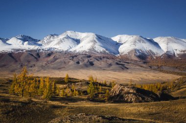 Bozkır Altai Cumhuriyeti 'nin karla kaplı dağlarına doğru uzanır. Açık arazi, soğuk ve uzak tepelerle altın ovalara zıt düşüyor..