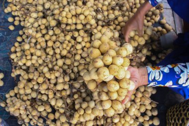 Taze Longkong, Langsat veya Duku grupları Endonezya 'daki geleneksel pazarda satılıyor. Lezzetli tropikal meyve.