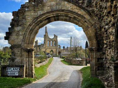 Byland Abbey kemer yolundan görüldü.