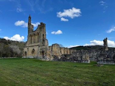 Byland Abbey - Kuzey Yorkshire 'daki harabe manastırlardan biri