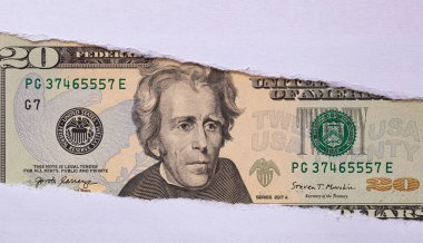 Tasarım amaçlı yırtık kağıt delikte 20 ABD Doları banknot