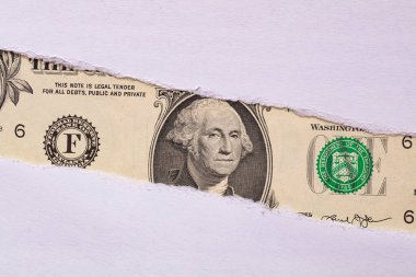 Tasarım amaçlı yırtık kağıt delikte 1 ABD Doları banknot