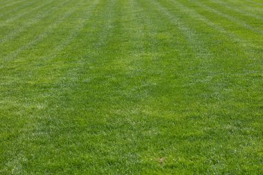 yeşil çimen arkaplan, futbol sahası desenli tasarım amacı için arka plan