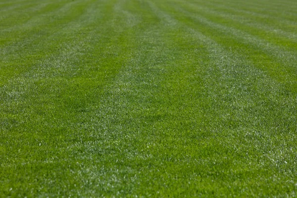 Zielone Tło Trawy Boisko Piłki Nożnej Teksturowane Tło Celów Projektowych — Zdjęcie stockowe