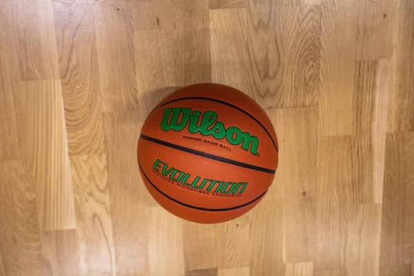 Lviv Ukrayna Nisan 2023 Wilson Evolution Indoor Game Basketball Court — Stok fotoğraf