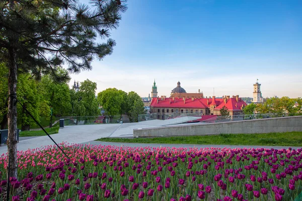 stock image Lviv, Ukraine - May 6, 2023: