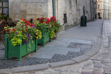 Lviv, Ukraine - July 13, 2023: Flowerdeds in Lviv city center
