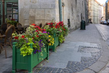 Lviv, Ukraine - July 13, 2023: Flowerdeds in Lviv city center