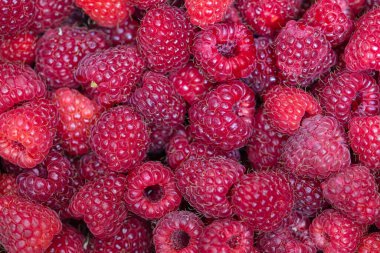 kırmızı ahududu desenli arkaplan tasarım amacı için