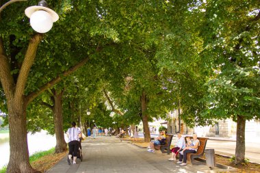 Uzhhorod, Ukrayna - 24 Ağustos 2023: Uzhhorod 'daki Linden sokağı, Avrupa' nın en uzun yolu