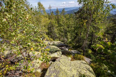 Ukrayna 'daki Karpat dağlarında Yavirnyk-Gorgan dağı zirvesi