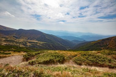 Ukrayna 'nın Karpatlar bölgesindeki Chornohora dağlarındaki Shpytsi Dağı' nın keskin kayaları.