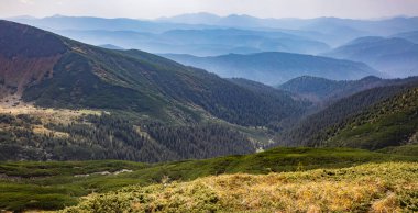 Ukrayna 'nın Karpatlar bölgesindeki Chornohora dağlarındaki Shpytsi Dağı' nın keskin kayaları.