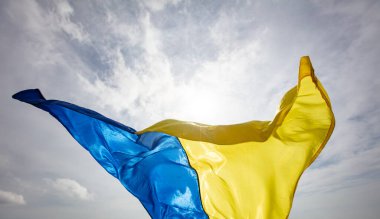 Karpat dağlarının önünde Ukrayna ulusal bayrağı