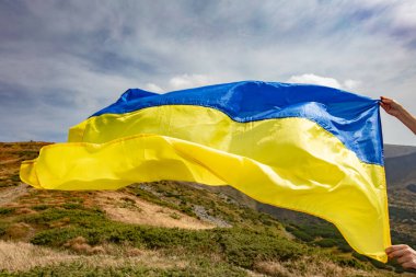 Ukrainian national flag in front of Carpathian mountains clipart