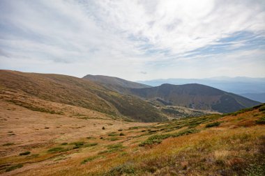 Ukrayna 'nın Karpatlar bölgesindeki Chornohora dağlarındaki Shpytsi Dağı' nın keskin kayaları.