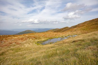 Ukrayna 'nın Karpatlar bölgesindeki Chornohora dağlarındaki Shpytsi Dağı' nın keskin kayaları.
