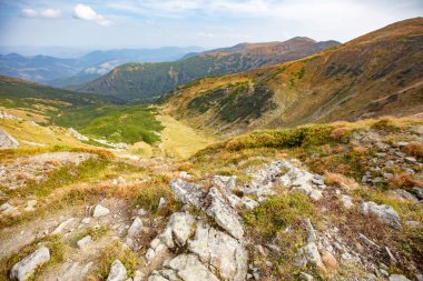 Ukrayna 'nın Karpatlar bölgesindeki Chornohora dağlarındaki Shpytsi Dağı' nın keskin kayaları.