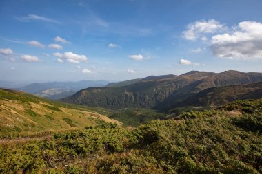Ukrayna 'nın Karpatlar bölgesindeki Chornohora dağlarındaki Shpytsi Dağı' nın keskin kayaları.
