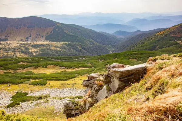 Αιχμηρά Βράχια Του Βουνού Shpytsi Στη Οροσειρά Chornohora Στα Ουκρανικά — Φωτογραφία Αρχείου