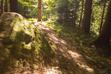 Tustan Kalesi - Urych, Ukrayna 'da ulusal öneme sahip arkeolojik ve doğal anıt