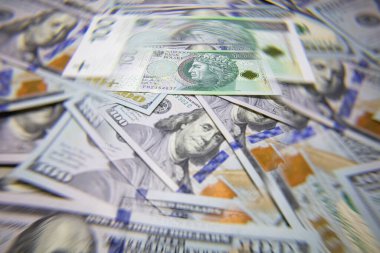100 Polonyalı zloti banknotu tasarım amaçlı 100 dolarlık banknotlar halinde izole edildi