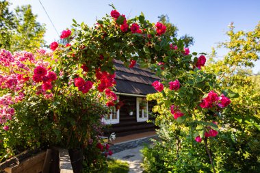 Lviv bölgesindeki antik ahşap köy evi, Ukrayna