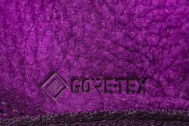 Bredebro, Denmark - March 1, 2024: Closeup of ECCO shoe with GORE-TEX Technology logo clipart