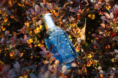 Lviv, Ukrayna - 8 Nisan 2024 Hugo Boss Şişe Tonik Eau de tuvalet şişesi