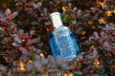 Lviv, Ukrayna - 8 Nisan 2024 Hugo Boss Şişe Tonik Eau de tuvalet şişesi