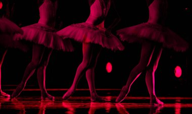 Kuğu Gölü balesi. Dans eden balerinlerin yakın çekimi