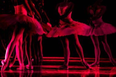 Kuğu Gölü balesi. Dans eden balerinlerin yakın çekimi