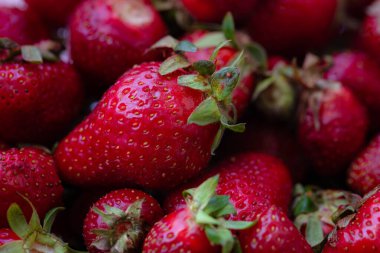 Tasarım amaçlı taze çileklere yakın çekim