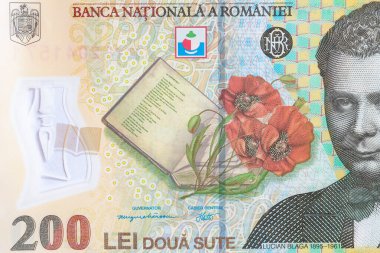 Yakın plan 200 Romen Lei banknotu 