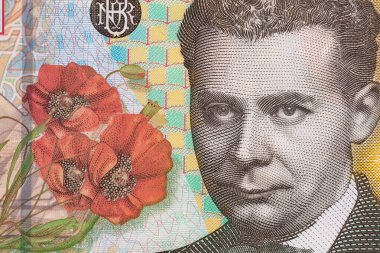 Yakın plan 200 Romen Lei banknotu 