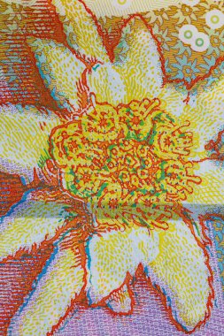 Tasarım amaçlı 50 Romen lei banknotunun kapanışı