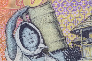 Tasarım amaçlı 10 Romen lei banknotunun kapanışı