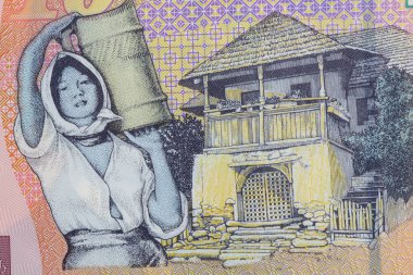 Tasarım amaçlı 10 Romen lei banknotunun kapanışı