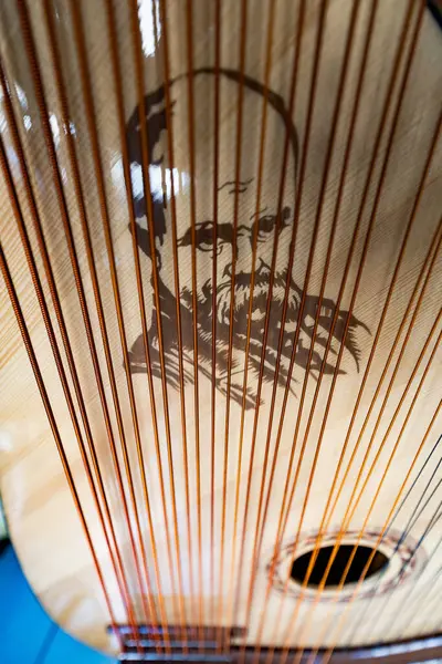 stock image Lviv, Ukraine - August 27, 2024: Closeup of bandura, Ukrainian national instrument, with portrait of Taras Shevchenko