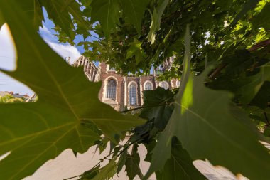 Lviv, Ukrayna 'daki Aziz Elizabeth Kilisesi yaprakların arasından